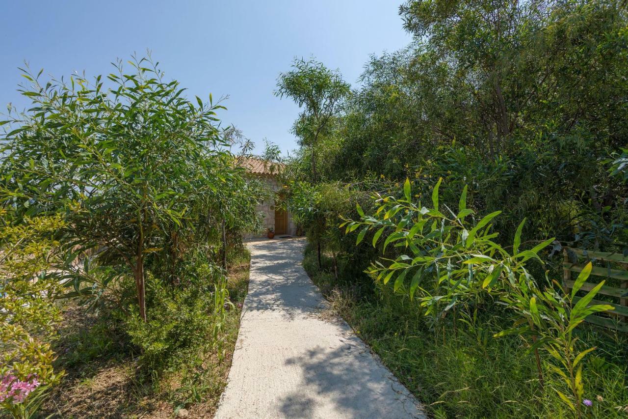 David'S Villas - Private Pool & Scenic Surroundings Vasilikí Exteriér fotografie